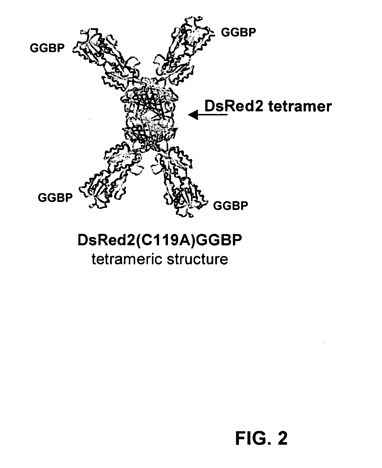 Compositions and methods for measuring analyte concentrations