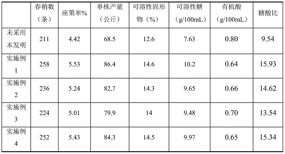 Fertilizing method of top grafting hybrid citrus of citrus unshiu