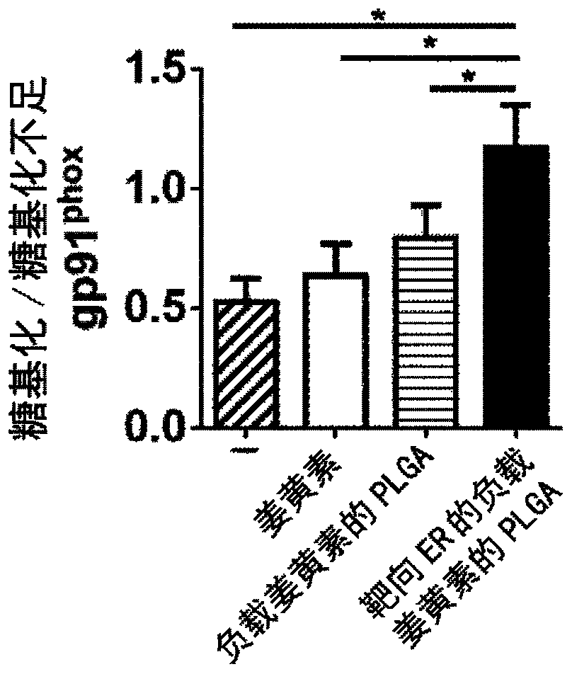 Endoplasmic Reticulum-Targeting Nanovehicles and Methods for Use Thereof