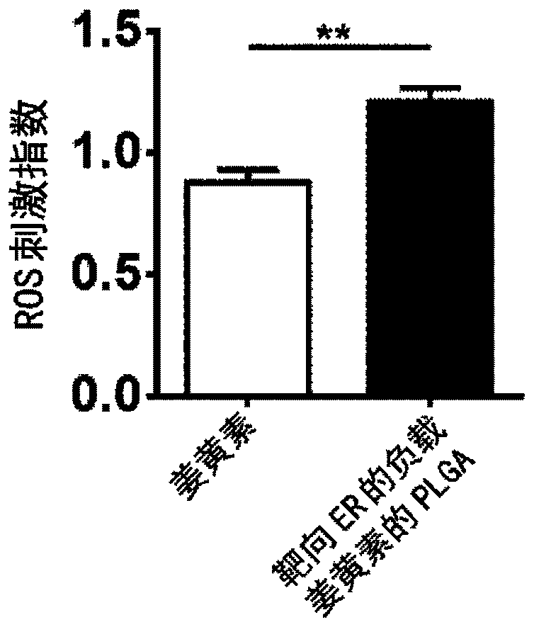 Endoplasmic Reticulum-Targeting Nanovehicles and Methods for Use Thereof