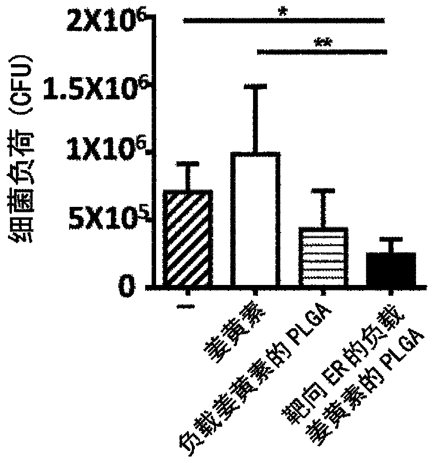 Endoplasmic Reticulum-Targeting Nanovehicles and Methods for Use Thereof