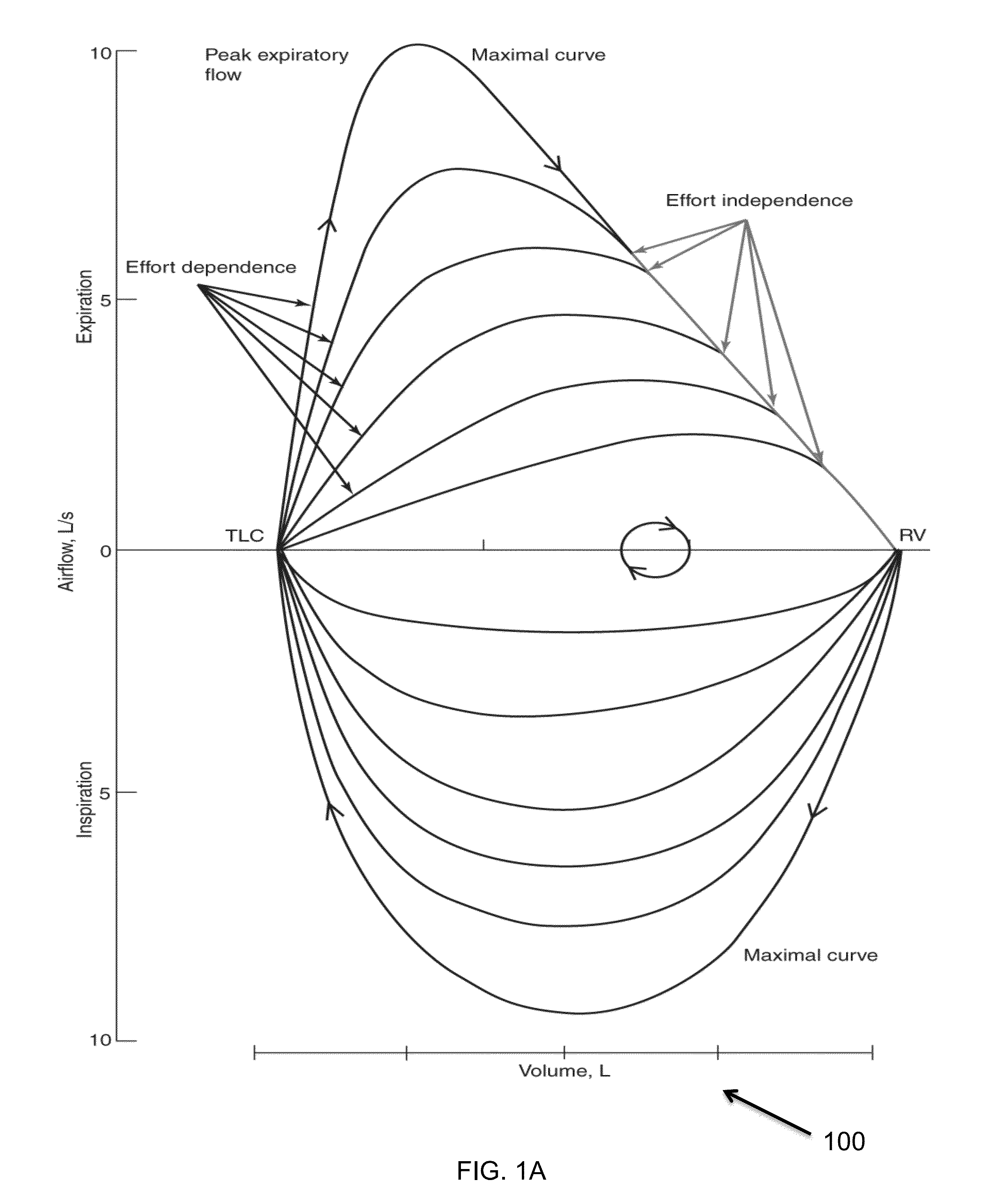 System and method for respiratory system assessment