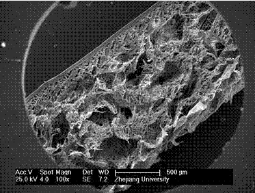 Artificial bile duct bionic stent with double-layered compound structure and preparation method of artificial bile duct bionic stent