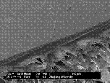 Artificial bile duct bionic stent with double-layered compound structure and preparation method of artificial bile duct bionic stent