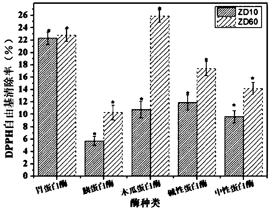 Eucheuma blood fat reducing tetrapeptide and application thereof