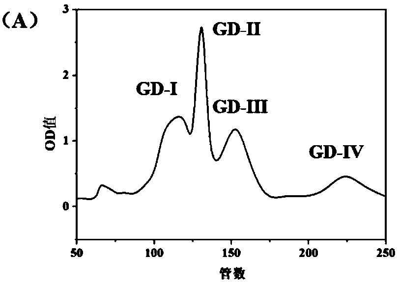 Eucheuma blood fat reducing tetrapeptide and application thereof