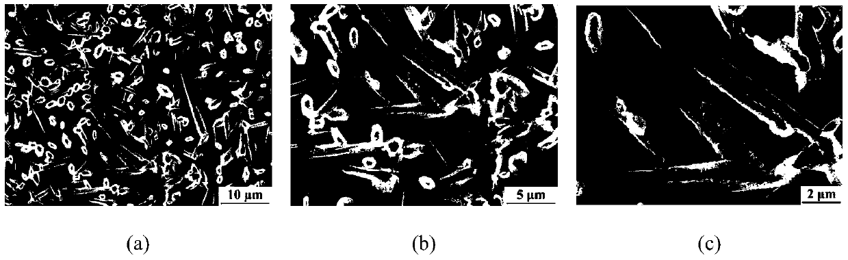 A method for preparing perovskite thin films in perovskite solar cells by solution pumping and ventilating method