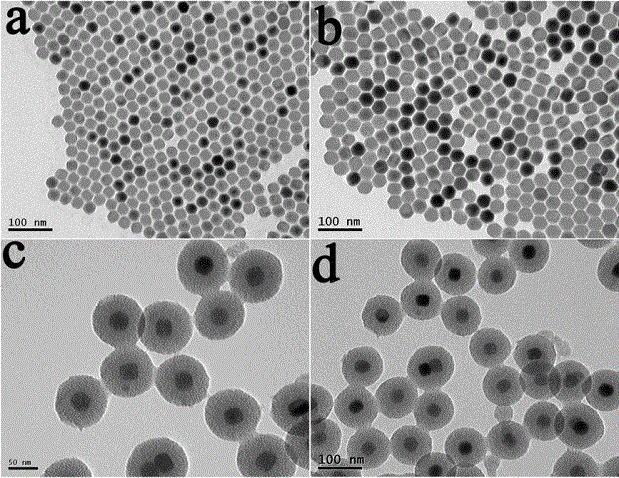 Nano probe for copper ion fluorescence imaging in cells and preparation method for nano probe