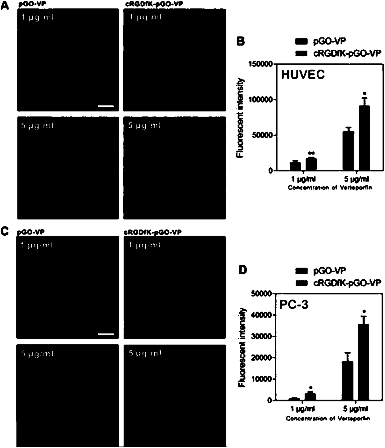 Multi-functional stealth nanoparticle co-loaded with VP and AQ4N and modified by cRGDfK polypeptide and application thereof