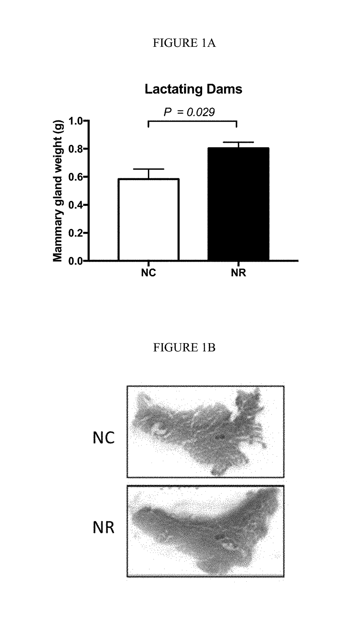 Use of nad precursors for breast enhancement