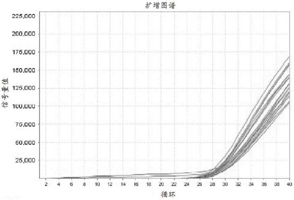 Kit and detection method for polymorphism detection of methylenetetrahydrofolate reductase gene