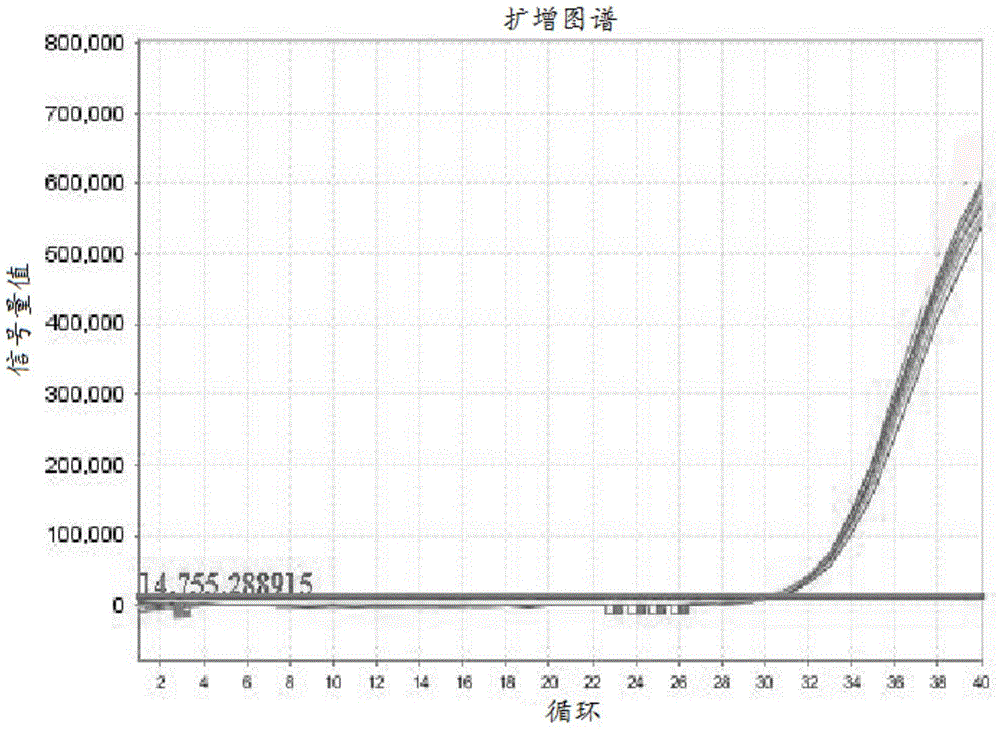 Kit and detection method for polymorphism detection of methylenetetrahydrofolate reductase gene