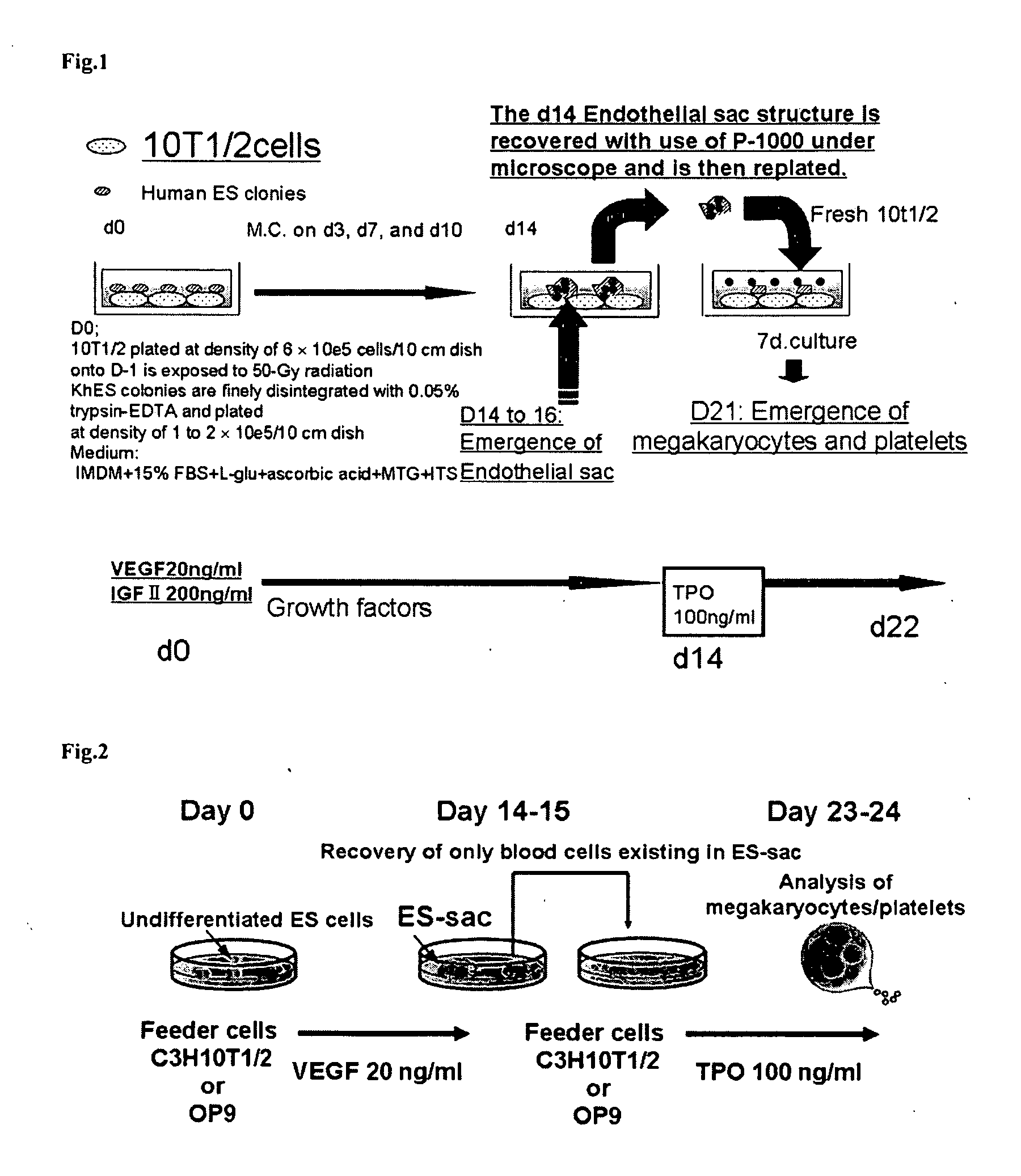 Structure enclosing hematopoietic progenitor cells from ES cells and method for preparing blood cells using the same