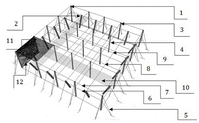 Method for shaping shed pears in pear garden