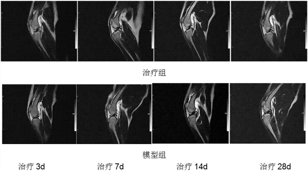 Stem cell preparation for treating canine arthritis and preparation method thereof