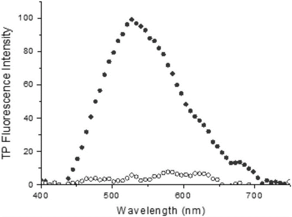 Fluorescent probe as well as preparation method and application thereof