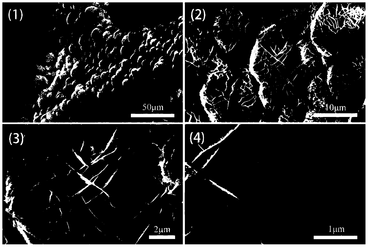 Efficient total water splitting electrocatalyst IPBAP/Ni2P@MoOx/NF and preparation method thereof