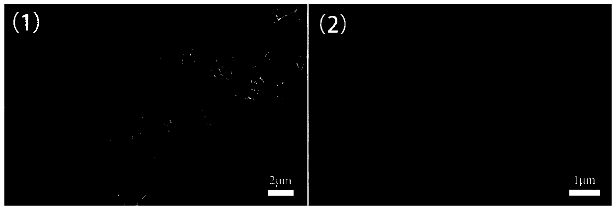 Efficient total water splitting electrocatalyst IPBAP/Ni2P@MoOx/NF and preparation method thereof