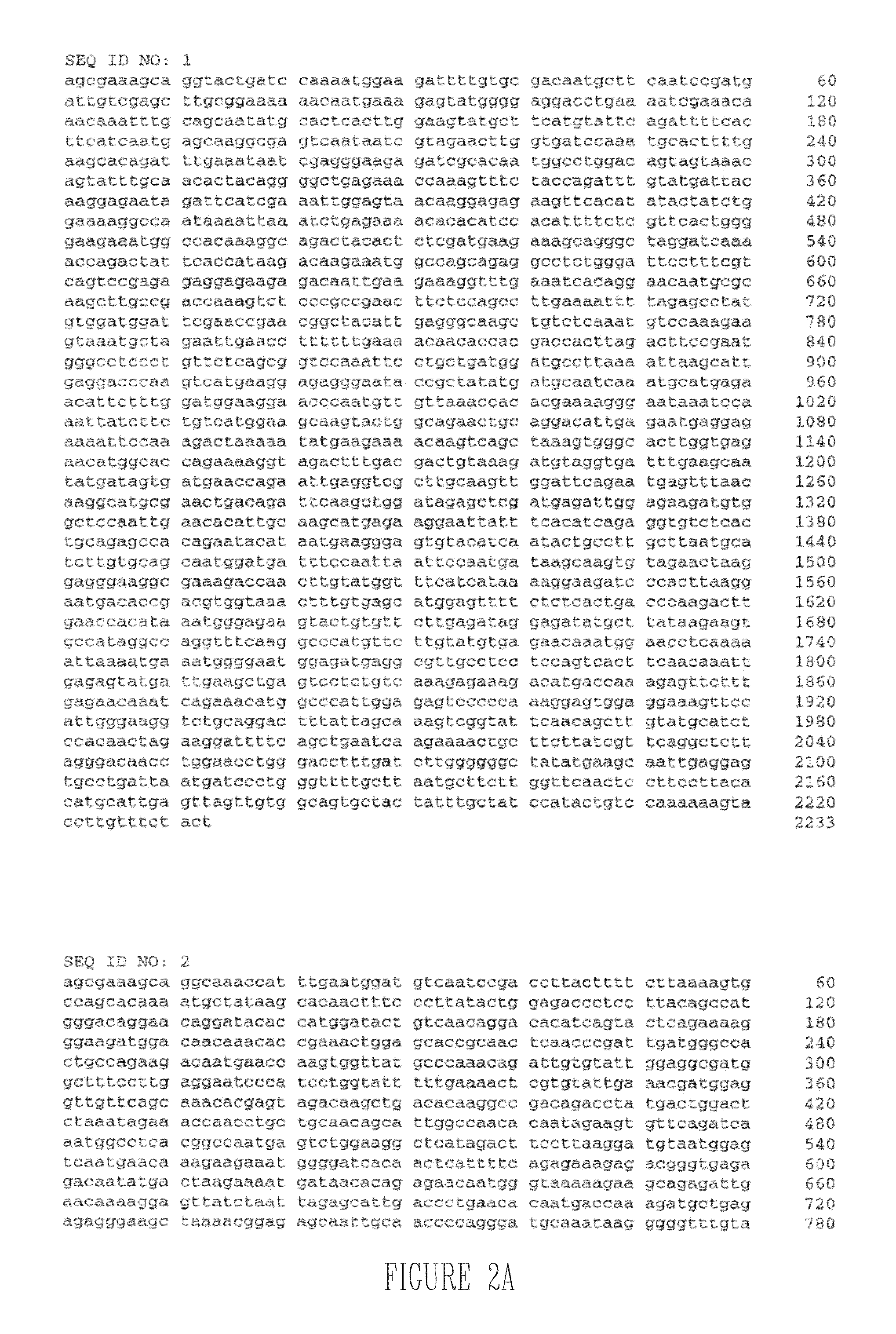 Influenza viruses with mutant PB2 gene segment as live attenuated vaccines