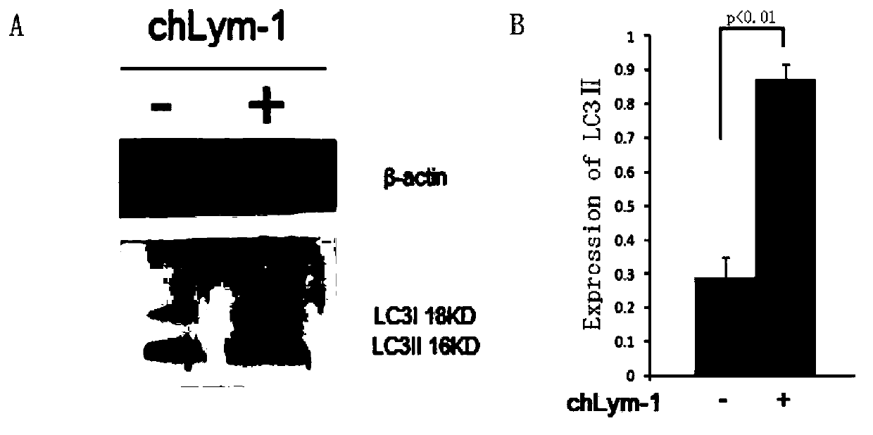 Pharmaceutical composition treating tumors