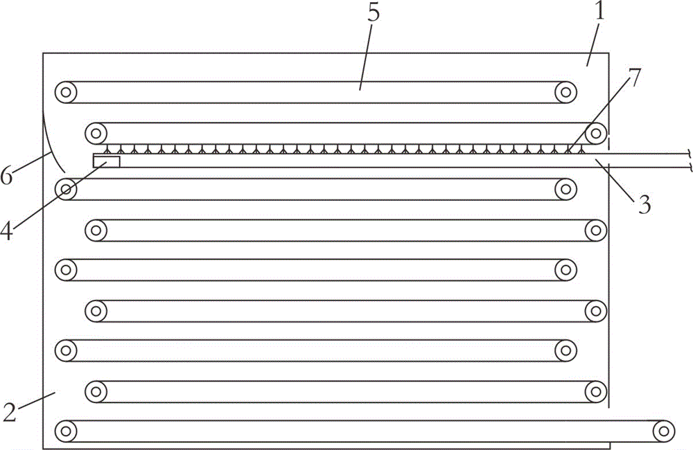 Konjak drying equipment and process thereof