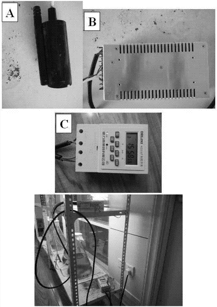 Benthic diatom culture method