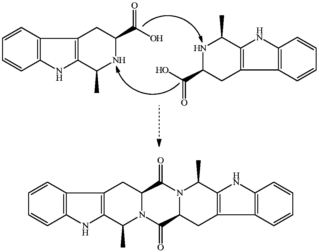 Novel heptacyclic compound as well as synthesis, activity rating and application thereof