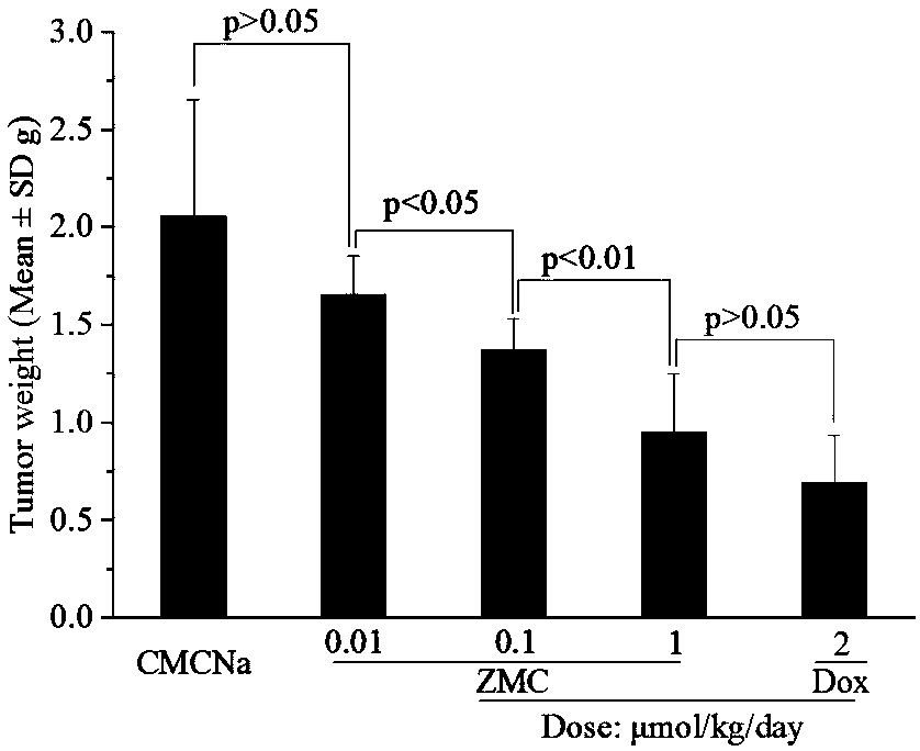 Novel heptacyclic compound as well as synthesis, activity rating and application thereof