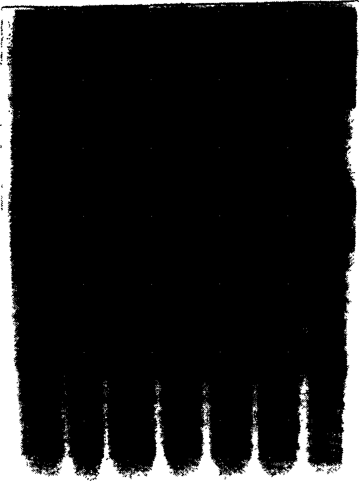 Method of detecting crop seed purity