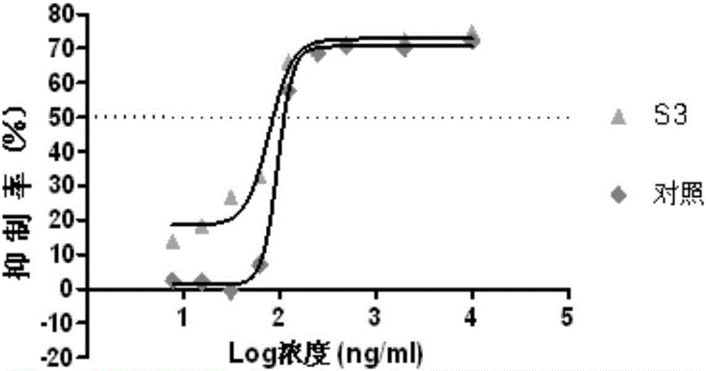 Bridged bispecific fusion protein