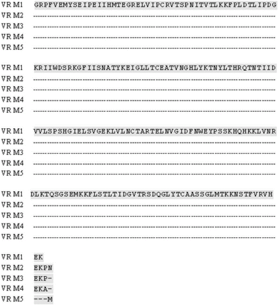 Bridged bispecific fusion protein