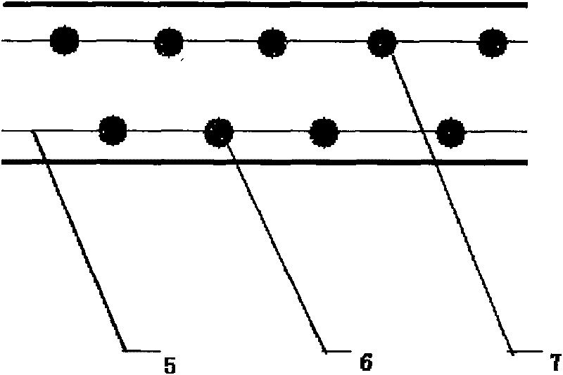 LED lamp based on blue light and red light chips and manufacturing method thereof