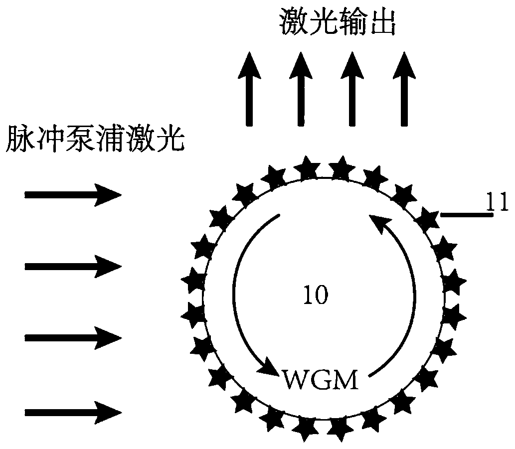 High-sensitivity immunoassay device and method based on ultrathin optical fiber micro-flow laser