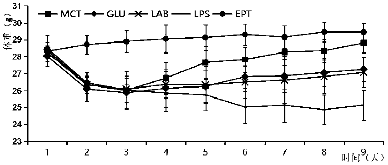 Application of lactic acid bacteria combined with medium-chain triglyceride in repairing intestinal inflammation