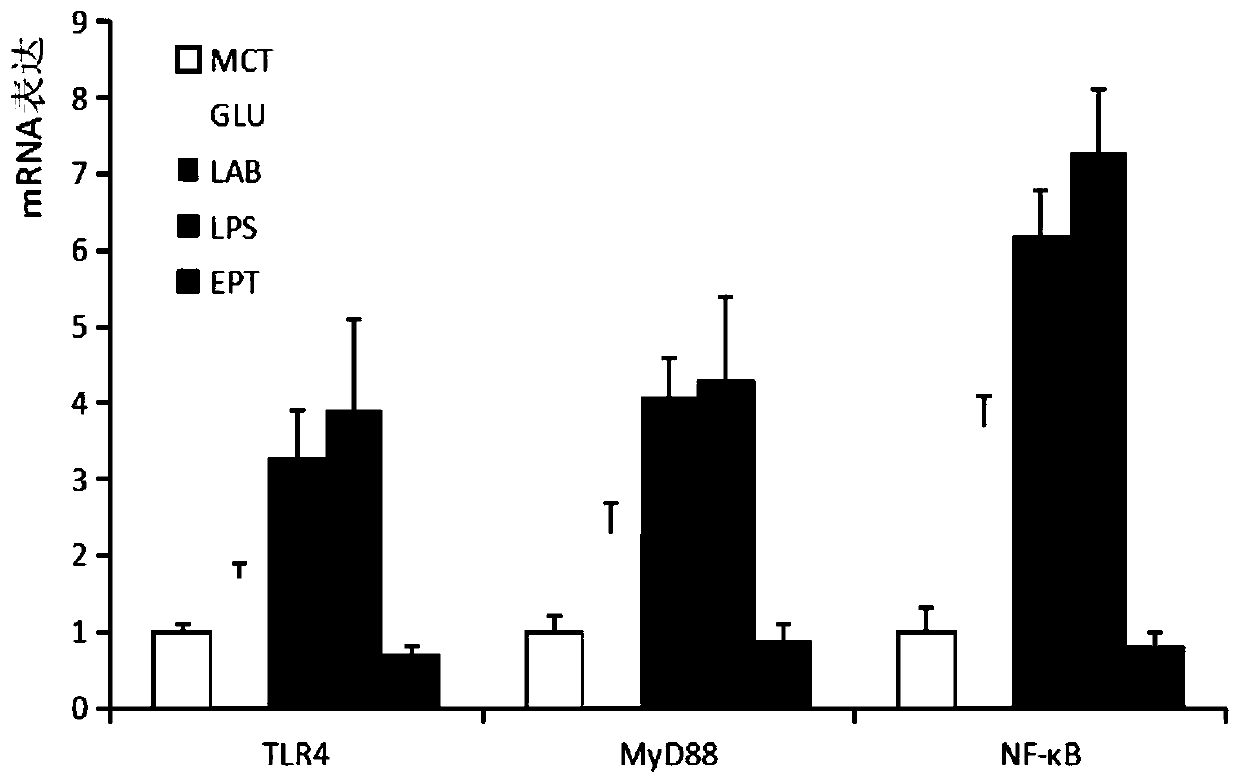 Application of lactic acid bacteria combined with medium-chain triglyceride in repairing intestinal inflammation