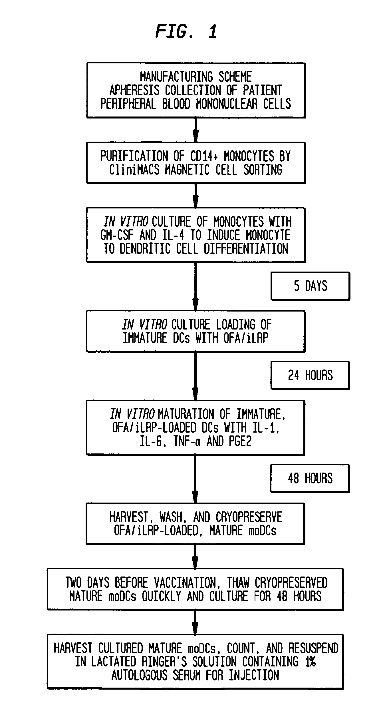 Vaccines with oncofetal antigen/ilrp-loaded autologous dendritic cells and uses thereof