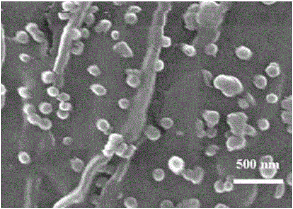 Preparation method and application of SnS2-attached textile