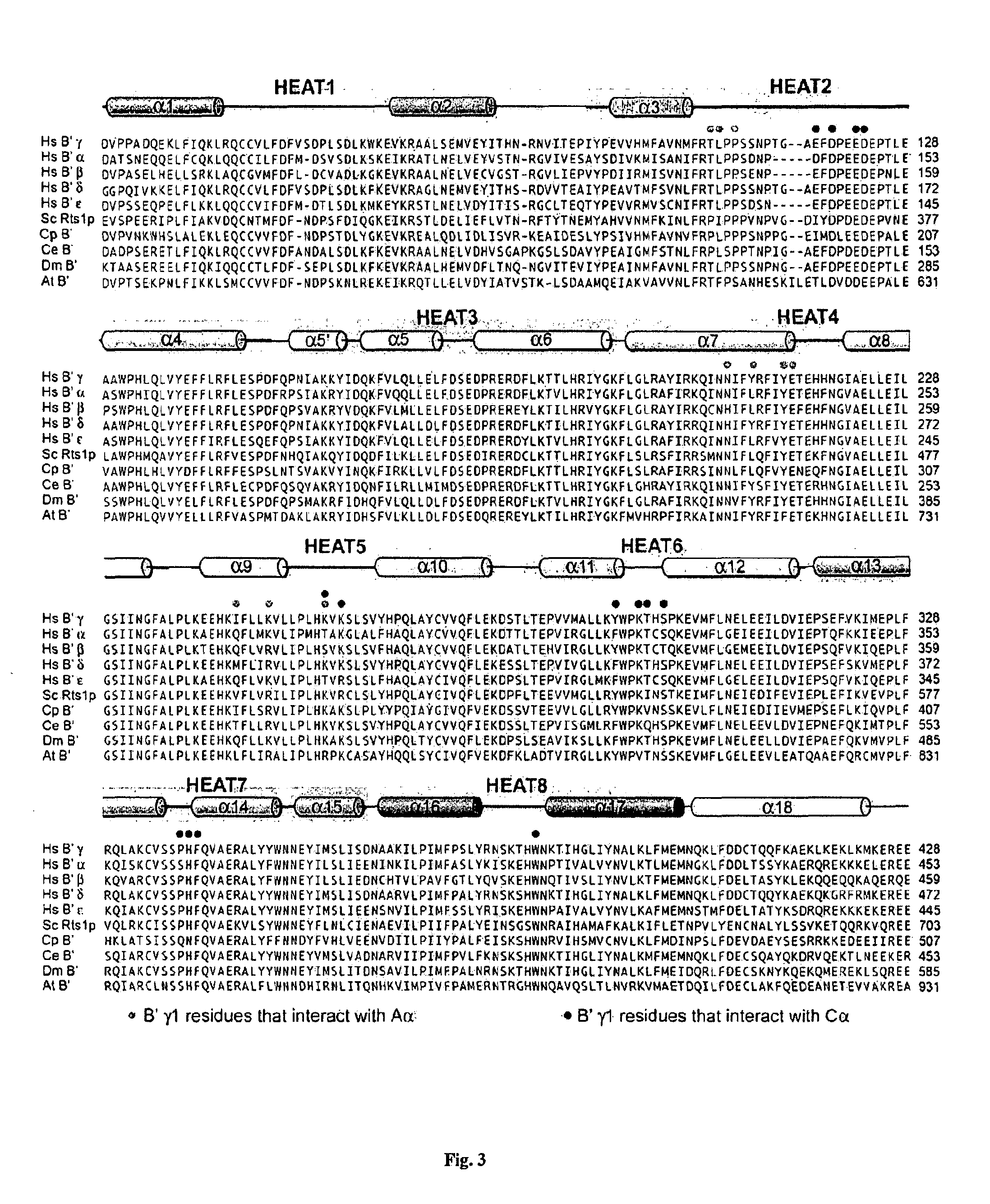 Modulators of protein phosphatase 2a holoenyme