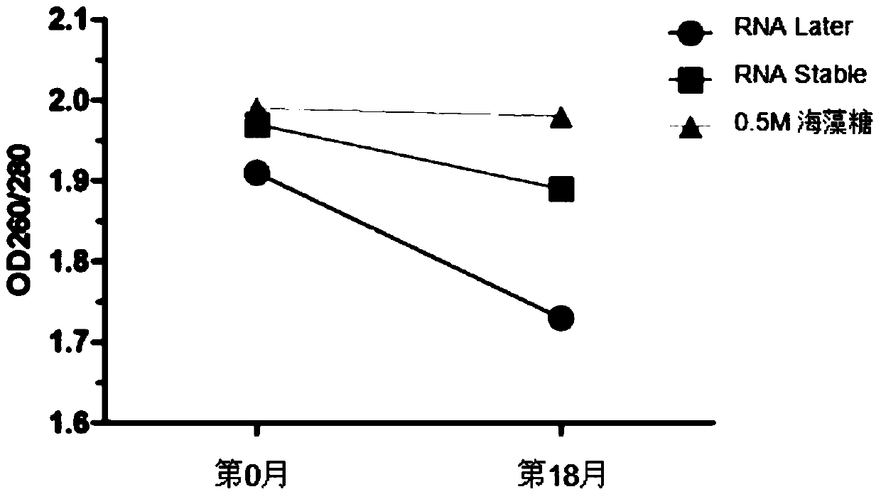 A ribonucleic acid protecting agent, kit, application and preservation method