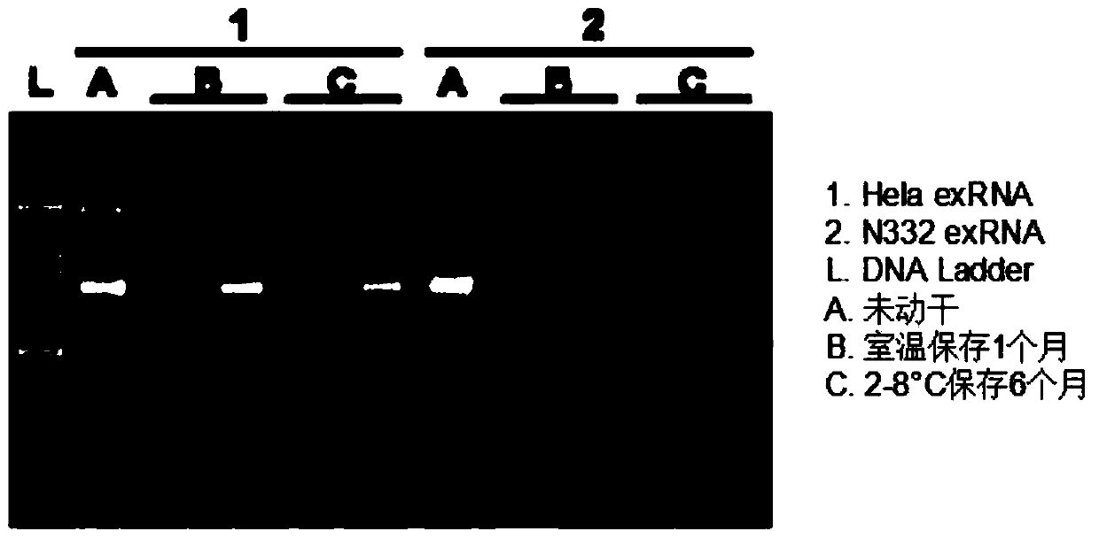 A ribonucleic acid protecting agent, kit, application and preservation method