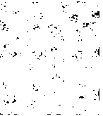 MiR-3OB (Micro-Ribonucleic Acid-30b) composite for targeting microglia as well as preparation method and application of composite