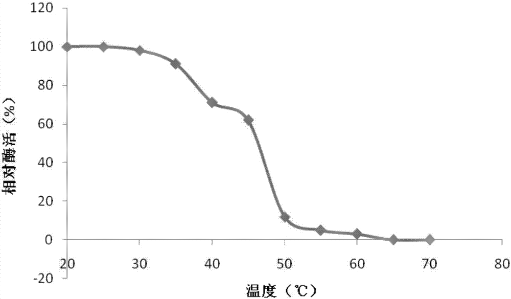 Aspergillus niger of high yield oxidation-resistant low temperature glucose oxidase