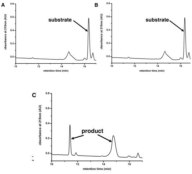 Structure of coxsackie virus A16-3C protease and application thereof