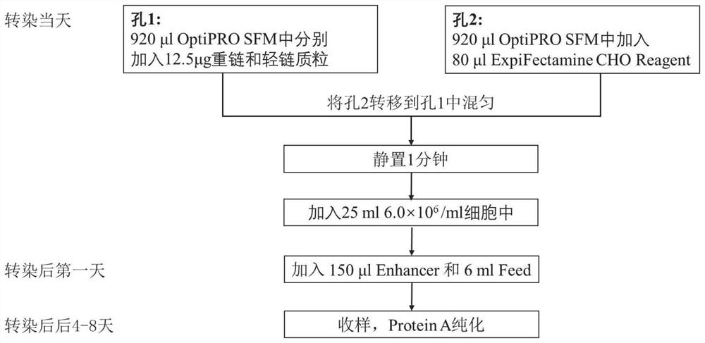 Liquid formulation comprising anti-human thymic stromal lymphopoietin (tslp) monoclonal antibody