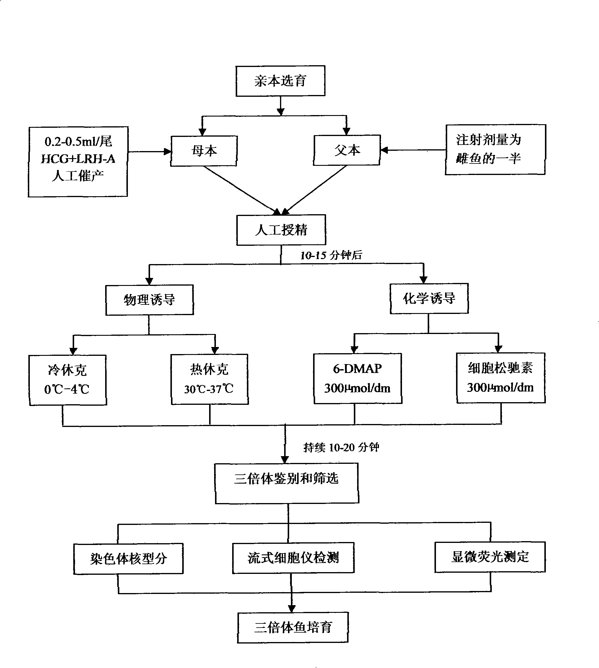 Production method of triploid yellow catfish