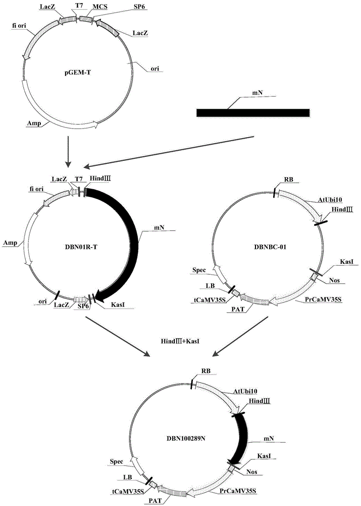 Herbicide resistance protein, its encoding gene and use