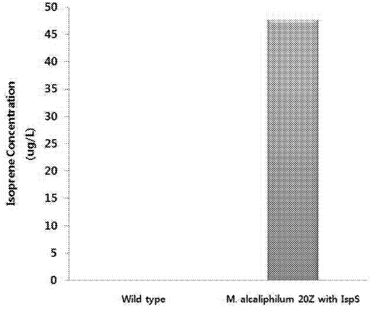 Method for producing isoprene using recombinant halophilic methanotroph