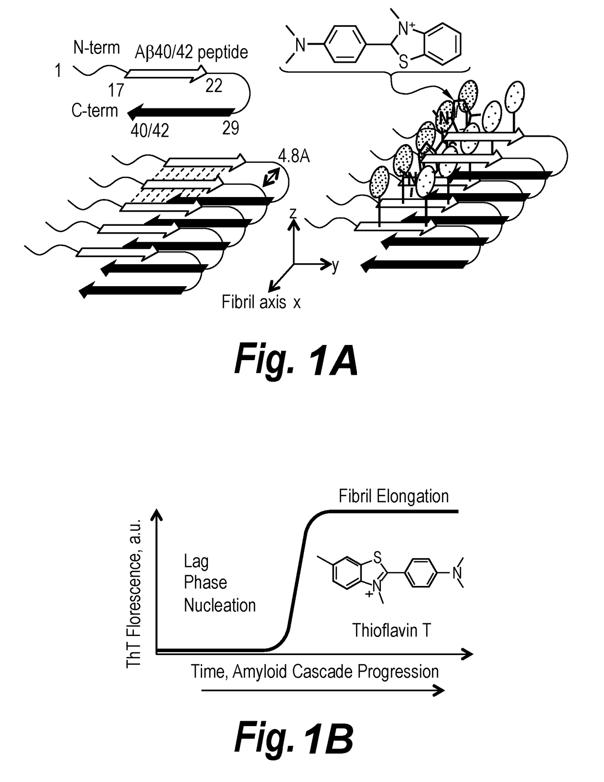 Sequence Specific Fluorescence for Peptide-Fluorochrome Interactions