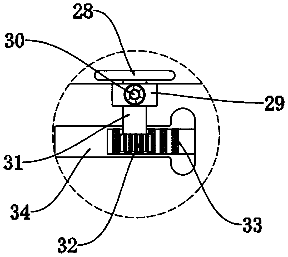 Paint stripping device for flat or round enameled wire