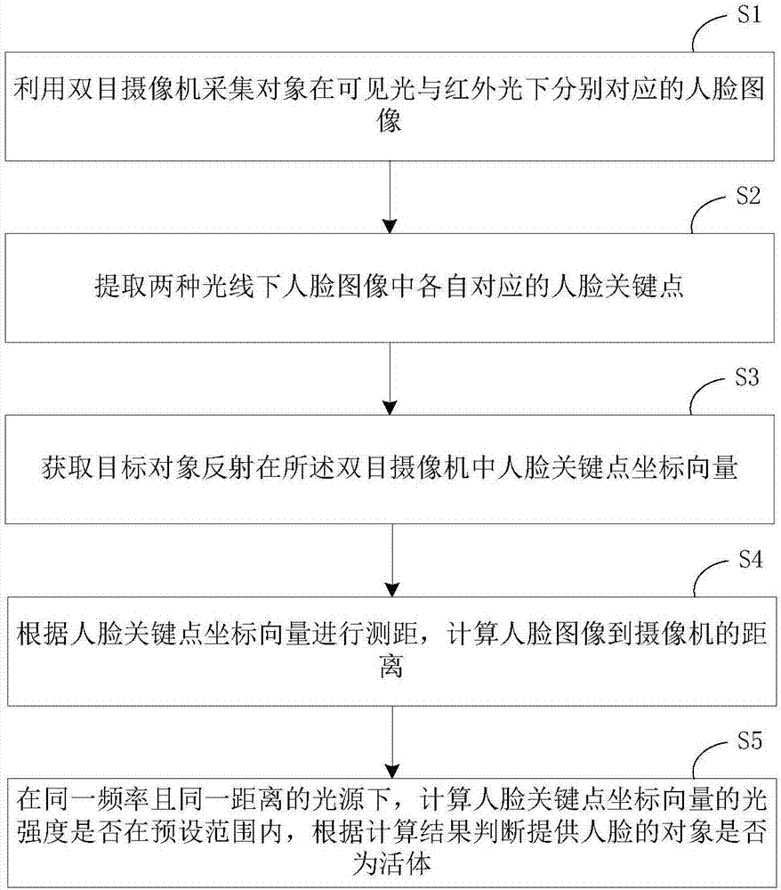 Binocular camera-based living body identification method and apparatus